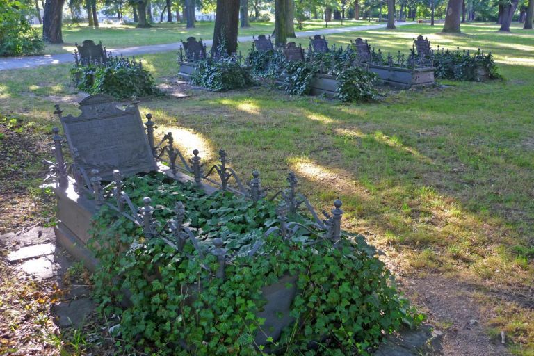 efeubewachsene Grabstellen mit kleinen Metallzäunen und metallenen Grabplatten